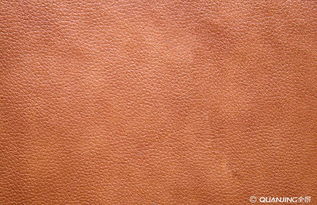 皮革 穿越千年的藝術與實用材料